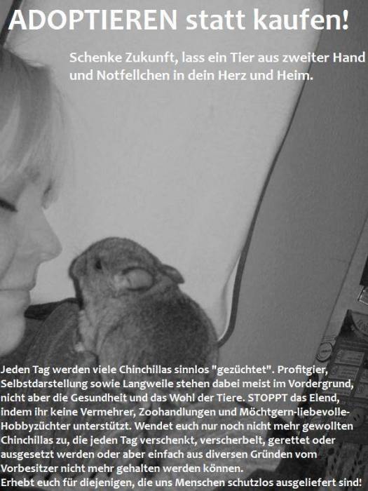 adopieren_statt_kaufen.jpg