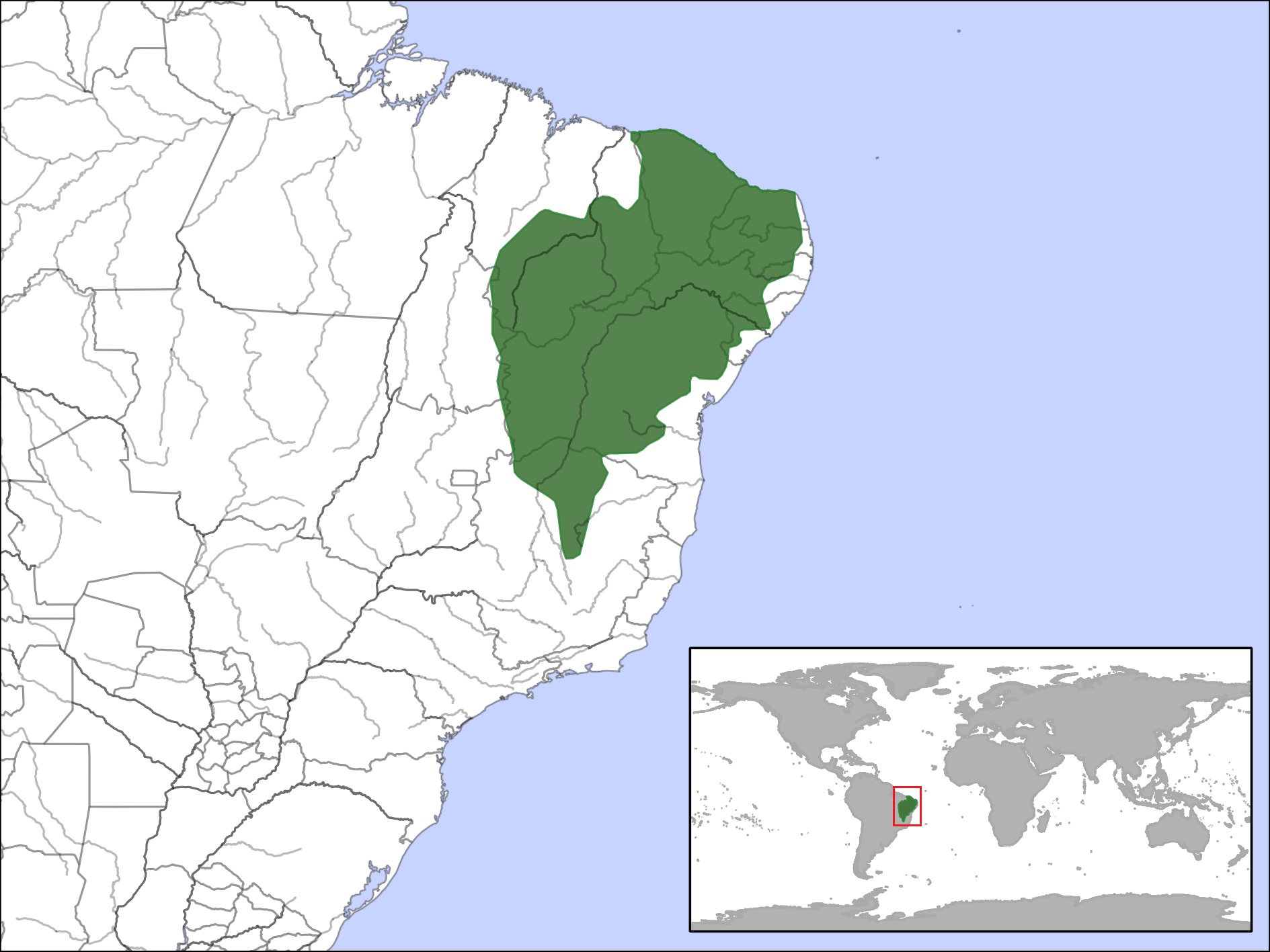 BildKerodon rupestris.jpg Degupedia NagetierWiki