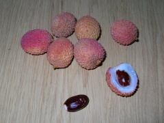 Litchi, Früchte und Samen