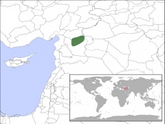 Verbreitung des GoldhamstersFoto: E. Neideck