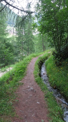 Suone neben Wanderweg