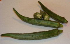 Kapselfrüchte der Okra