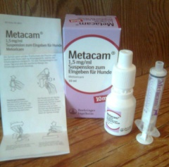 Meloxicam Nagetier-Wiki