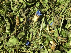 JR Farm Spitzwegerich mit Kornblumen