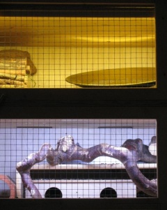 Foto: Marlén und Uwe Herbrich