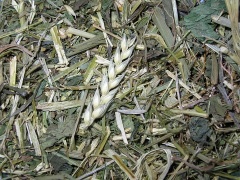 JR Farm Kräutergarten