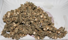 getrocknete Kapselfrüchte der Okra