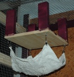 kleine Holzebene mit integrierter Hängematte